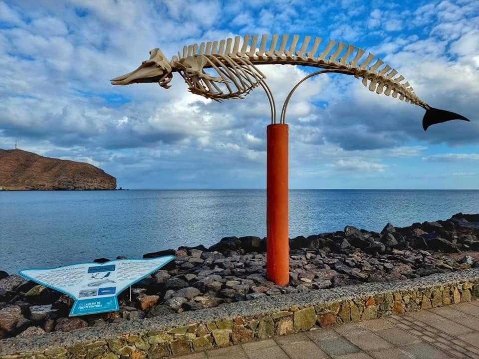 Casa Del Mar Air-Conditioned Apartment With Swimming Pools - Corralejo Playa Phòng bức ảnh